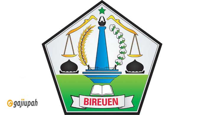 logo Kabupaten Bireuen
